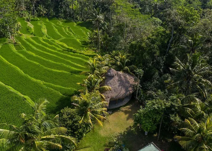 Arcadia Villa Payangan